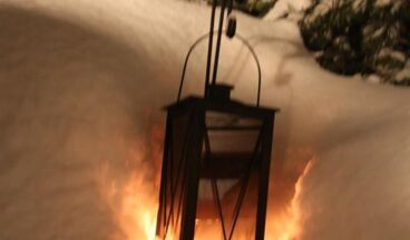 Pension Alwin, Bild 14