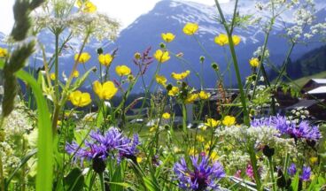 Pension Waldhof, Image 24