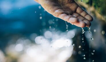 Vita-Parcours Run, Bild 1