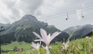 Arlenzauberweg - Naturschätze unter die Lupe genommen, Bild 16