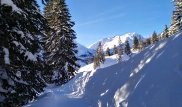 Oberlech Round, Image 4