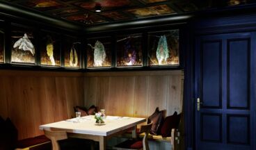 Almhof Schneider,Wunderkammer, Bild 4