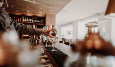 Hotel Austria, Image 25