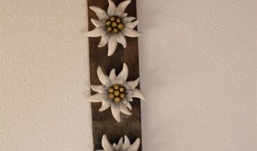 Appartements Beiser, Image 7