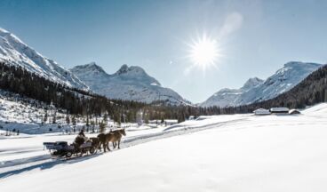 Hotel Goldener Berg, Bild 88