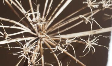 Herb atelier - Shop, Image 35