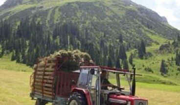 Appartements Gstüat, Image 18