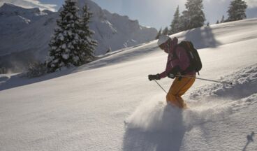 Pension Daniel, Image 24