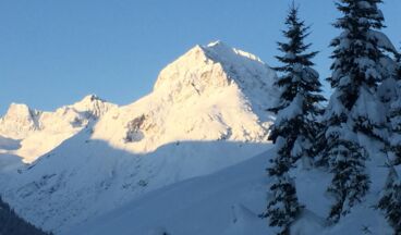 Appartements Bergland, Bild 14