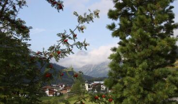 Pension Alwin, Bild 5