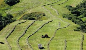 Pension Waldhof, Image 25