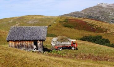 Pension Waldhof, Image 35