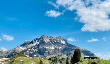 Appartement Birkenhof, Bild 14