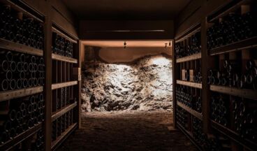 Hotel Almhof Schneider, Bild 10