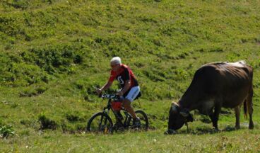 Pension Haus Nenning, Image 24