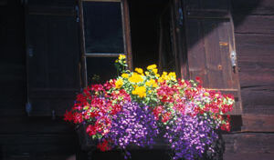 01 Warth - Bodenalpe