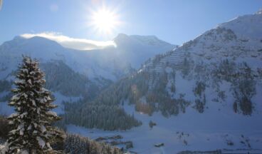 Pension Bergland, Bild 19