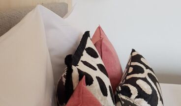 Pension Alpenfluh, Image 26