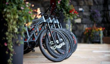 Hotel Austria, Image 21