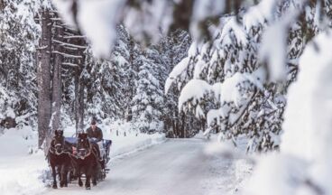 Haus Braunarl, Bild 40