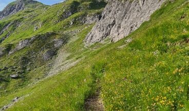 Stuben <> Erzbergsattel (Stubner Kreuz), Bild 2