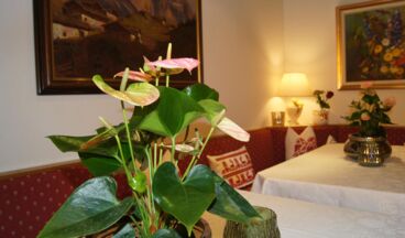 Pension Hartenfels, Bild 17
