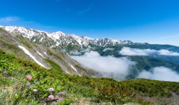 Sister Resort Party, Bild 6