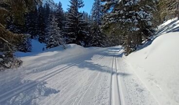 Pension Zug, Bild 17