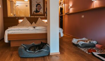 Hotel Goldener Berg, Bild 71