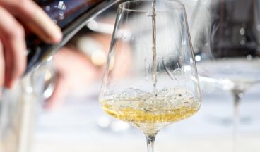 Weinverkostung in der Sandhof Weinbar