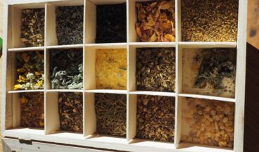 Herb atelier - Shop, Image 6