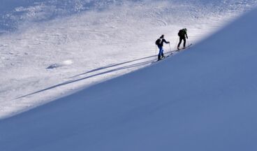 Whiteguides, Image 8