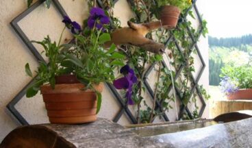 Appartements Gstüat, Image 19