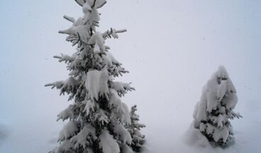 Appartements Bergland, Bild 19