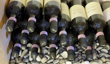 CRESTA.Alpin.Sport.Hotel, Image 10