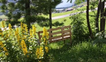 Pension Alwin, Bild 6