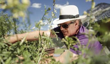 Hotel Stäfeli, Bild 20