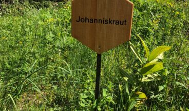 Arlenzauberweg - Naturschätze unter die Lupe genommen, Bild 8