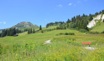 Geocaching Lech: Gipts das?, Image 2