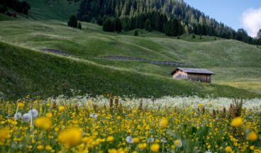 Kristiania Lech, Bild 71