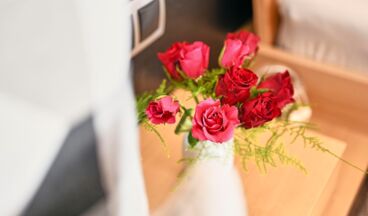 Appartements Dr. Muxel, Bild 17