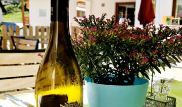 Pension Walkerbach, Image 21