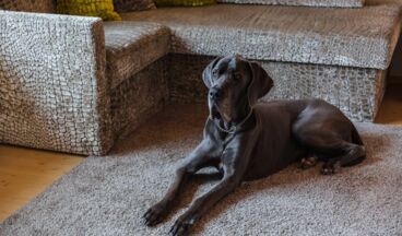 Haus Braunarl, Bild 11