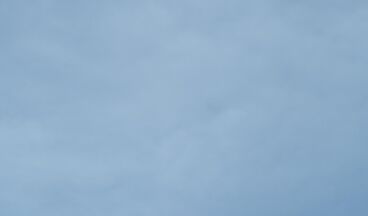 Haus Braunarl, Bild 51