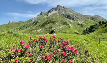 Trailrunning: Über Bürstegg nach Warth und auf dem Lechweg zurück, Image 3
