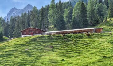 Stuben - St. Anton - Putzenalpe - Stuben, Bild 3