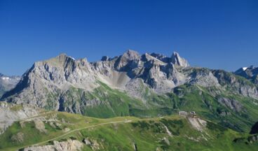 Balmalp im Sommer, Bild 4