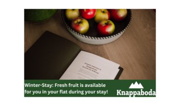 Appart Hotel Knappaboda, Bild 11