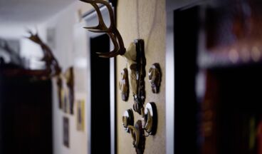 Haldenhof, Angelika-Kauffmann-Stube, Bild 15