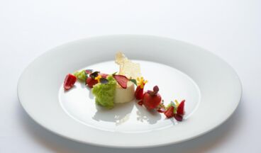 Burg Vital, Griggeler Stuba, Bild 10